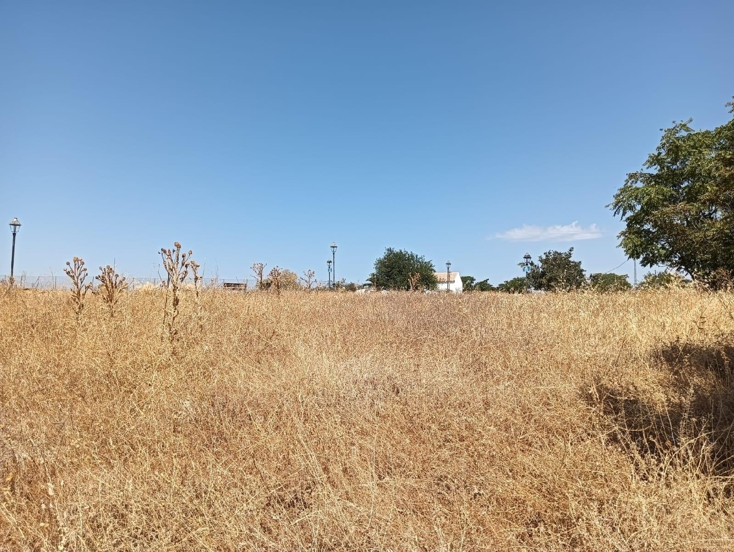  en venta terreno La Guardia De Jaén Metropolitana De Jaén 2