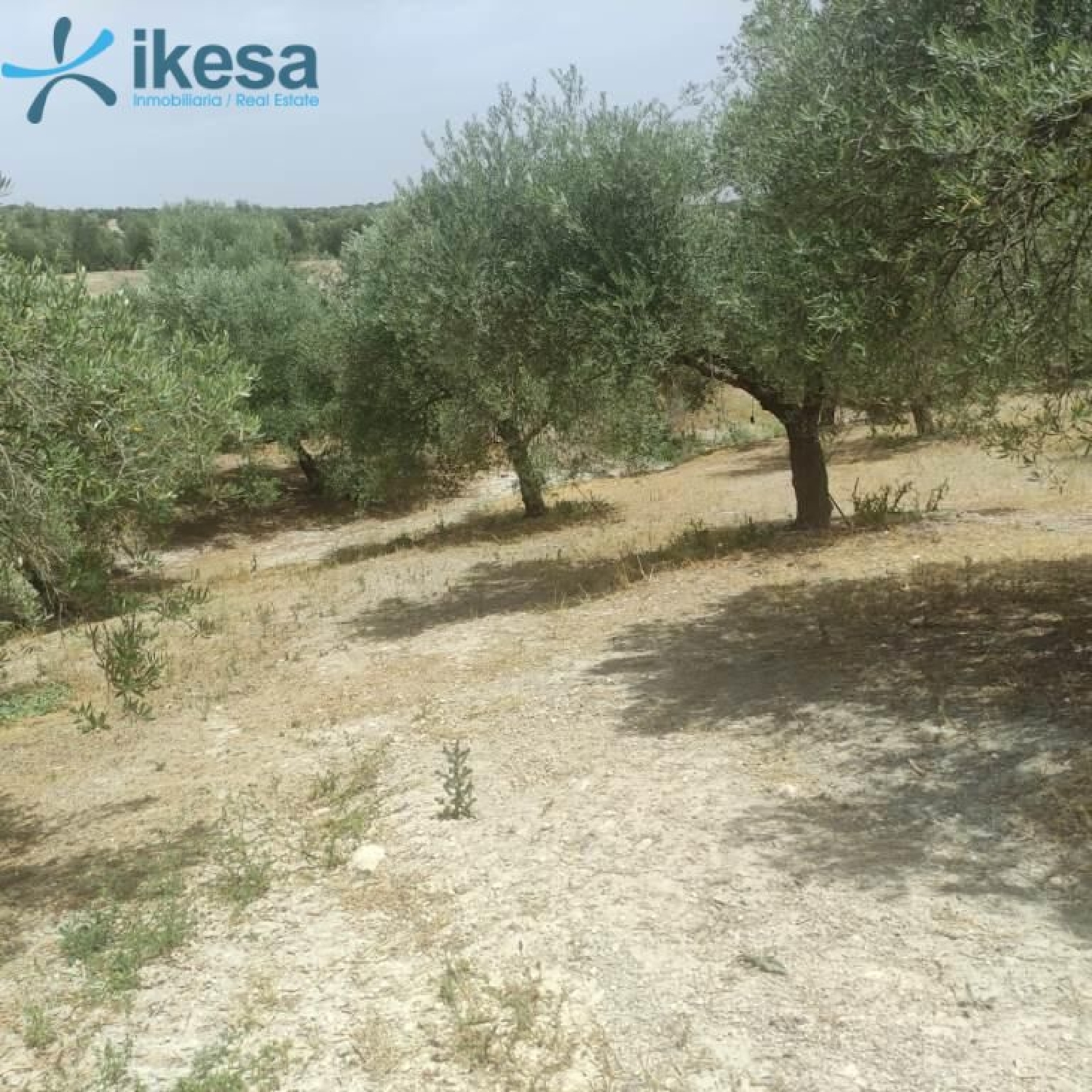  kaufen Grundstück La Guardia De Jaén Metropolitana De Jaén 1