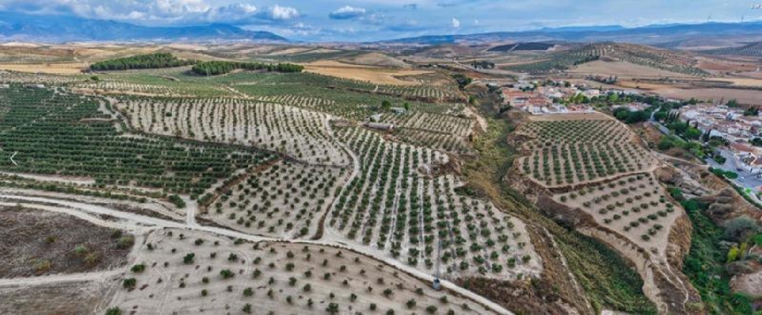  till salu tomt La Malahá Alhama 7