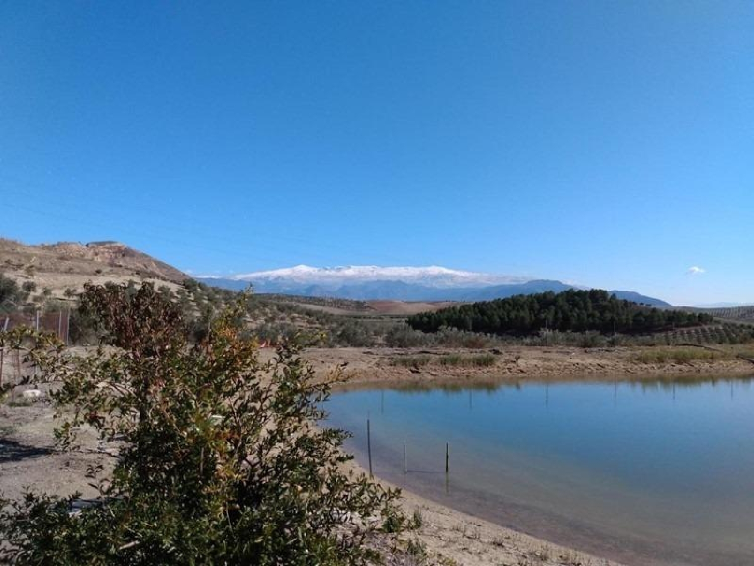  till salu tomt La Malahá Alhama 4