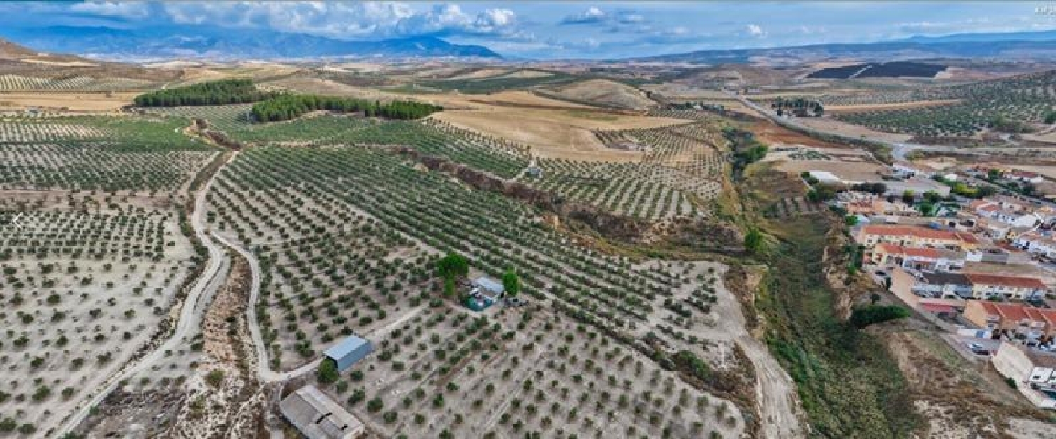  till salu tomt La Malahá Alhama 8