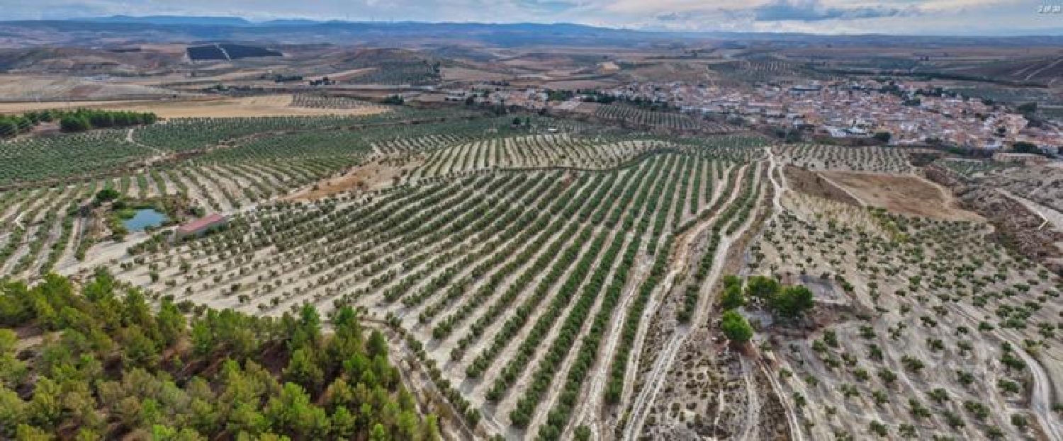  till salu tomt La Malahá Alhama 6