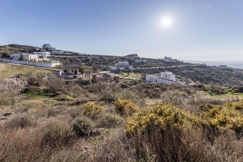 La Zubia Vega De Granada plot foto 6369988