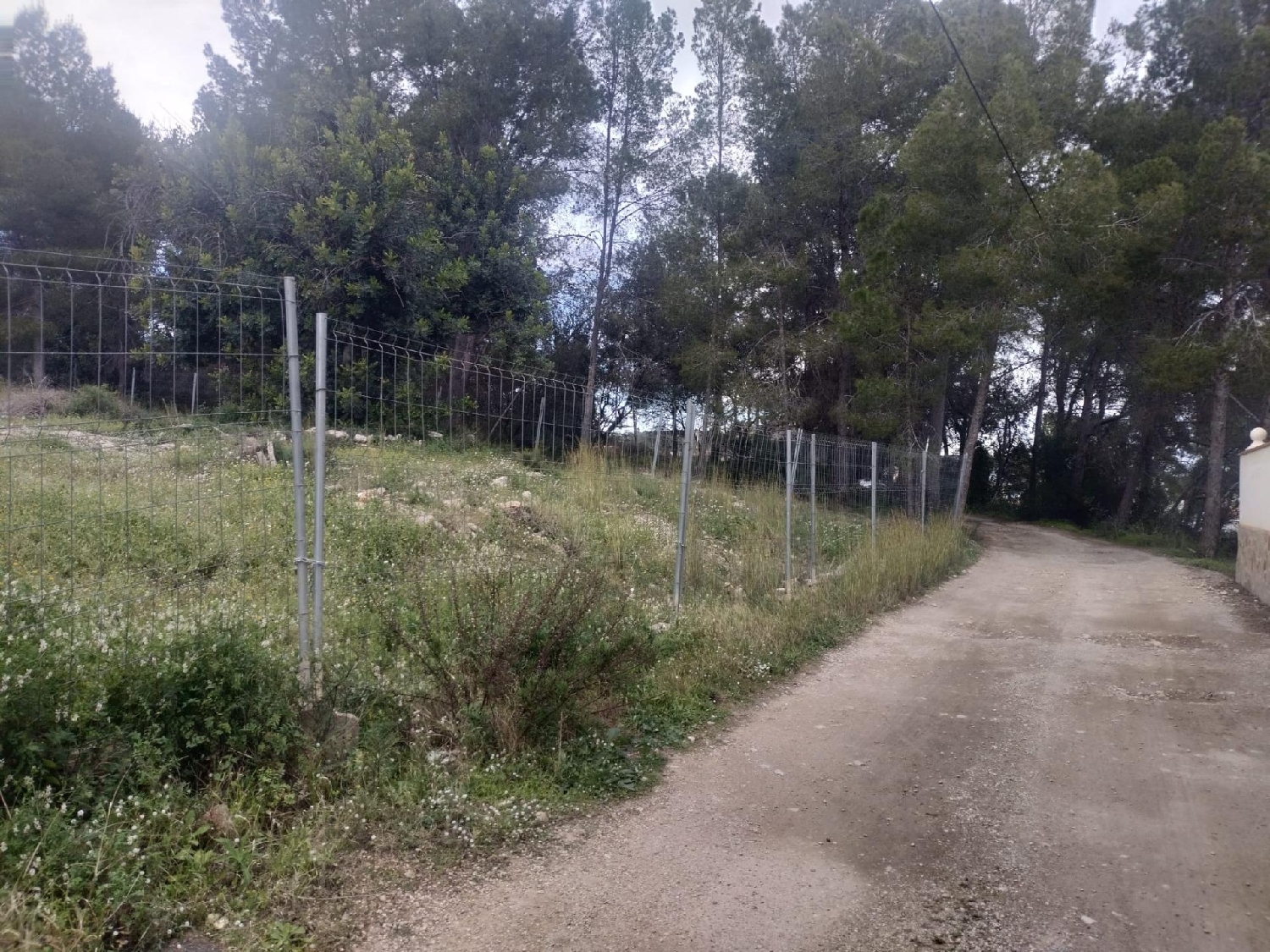  kaufen Grundstück L'alcúdia De Crespins Costera (La) 3