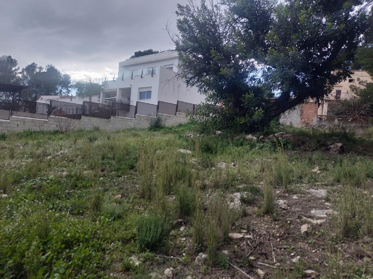  kaufen Grundstück L'alcúdia De Crespins Costera (La) 2