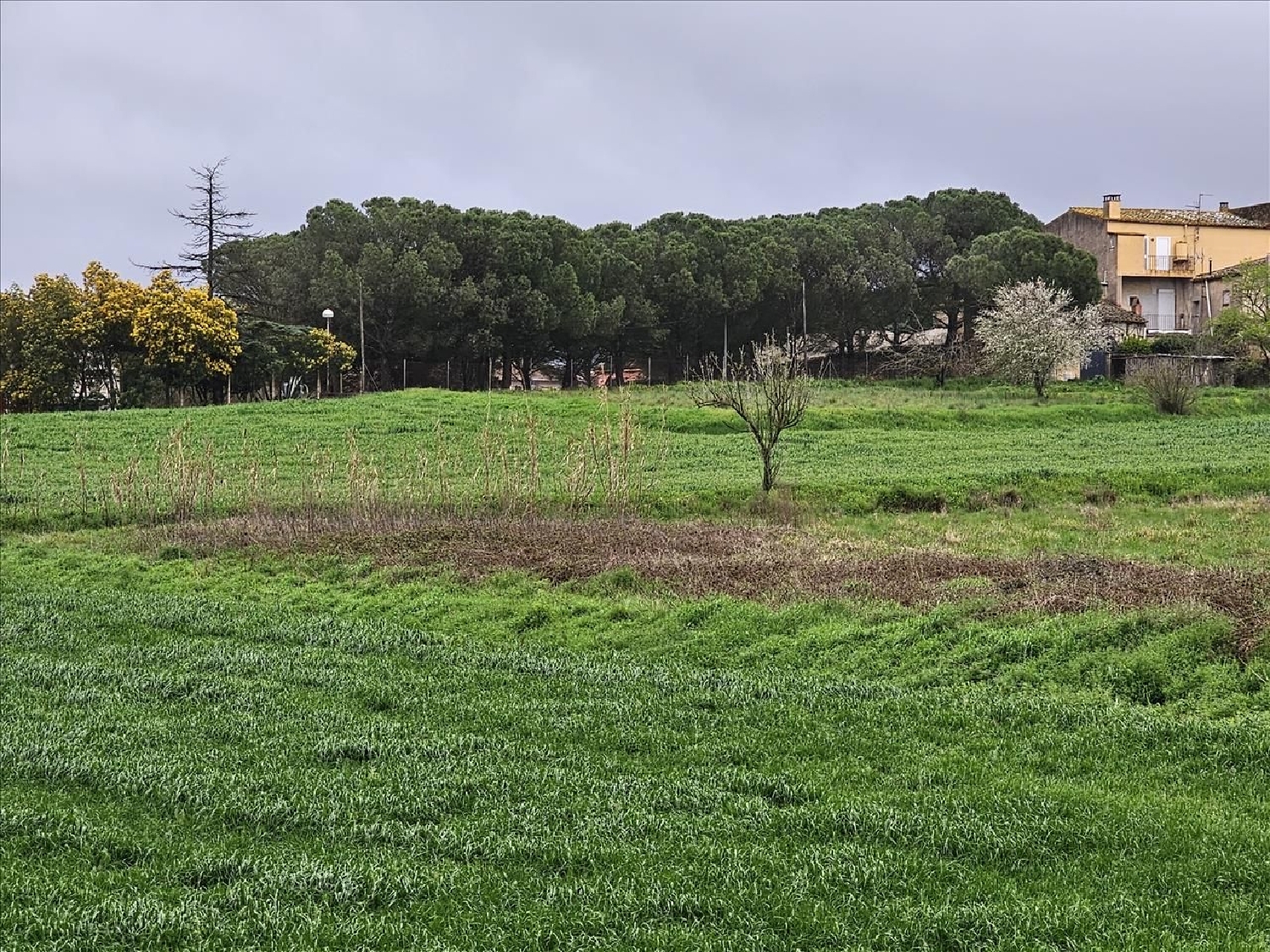  te koop perceel Llagostera Gironès 4