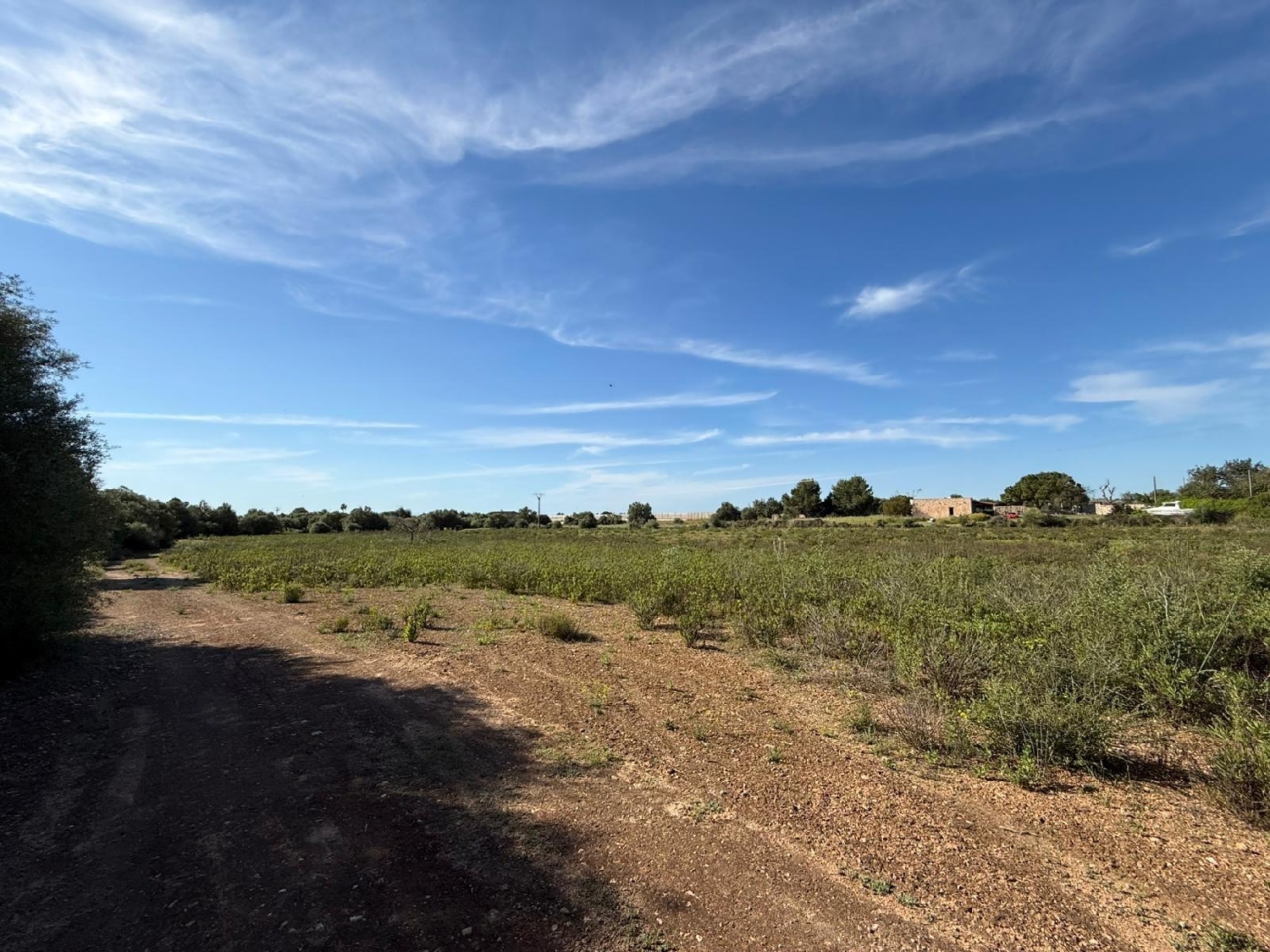 till salu tomt Llucmajor Llucmajor 6