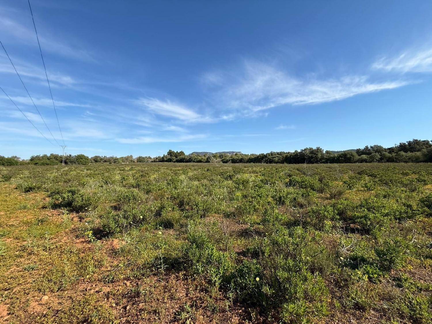  till salu tomt Llucmajor Llucmajor 4