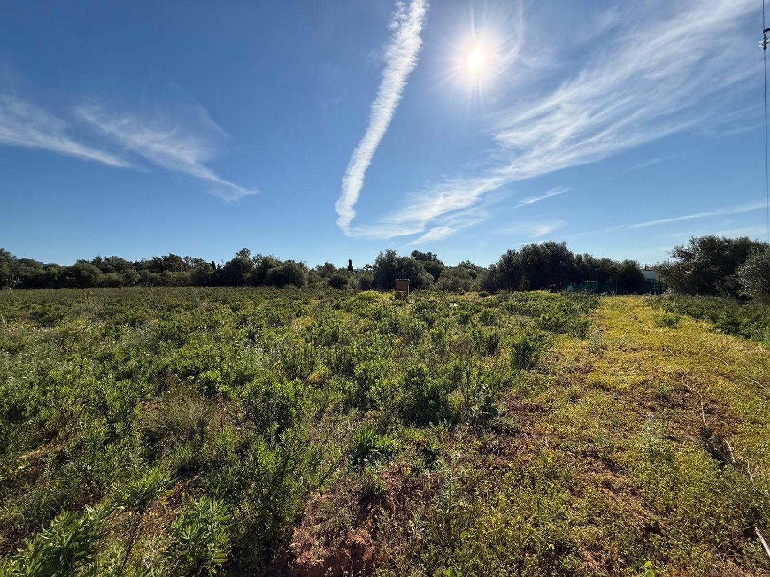  till salu tomt Llucmajor Llucmajor 2