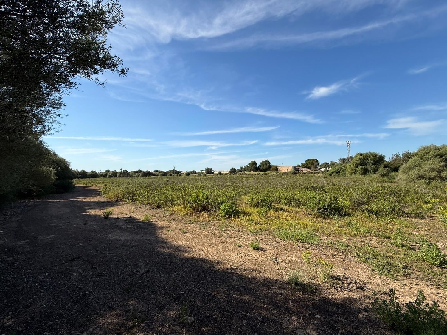  till salu tomt Llucmajor Llucmajor 5