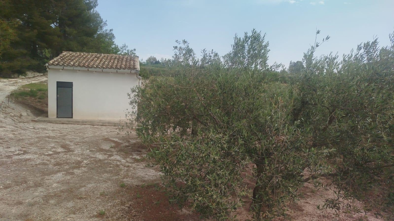  till salu tomt L'olleria Vall D'albaida 3