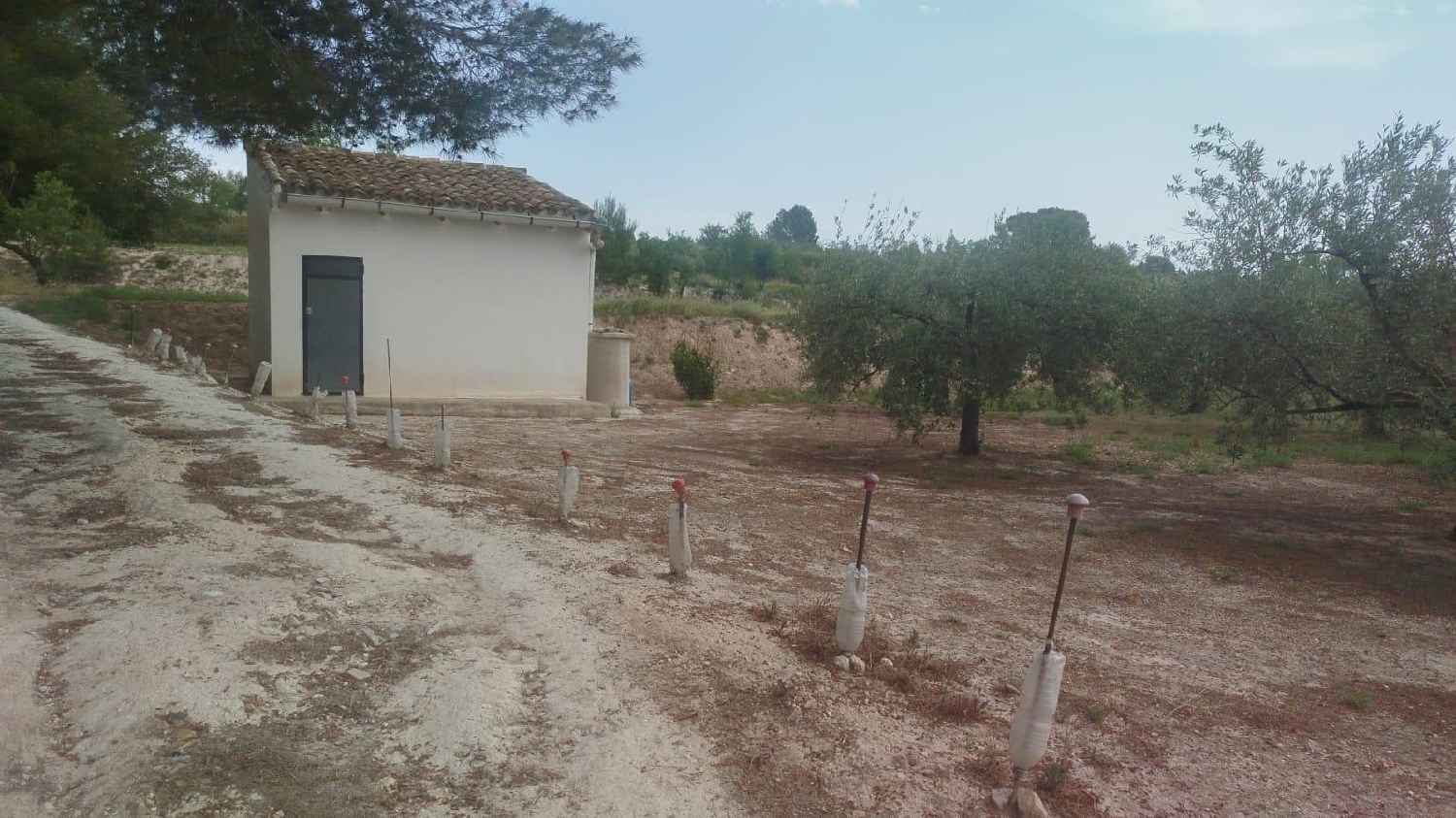  till salu tomt L'olleria Vall D'albaida 2