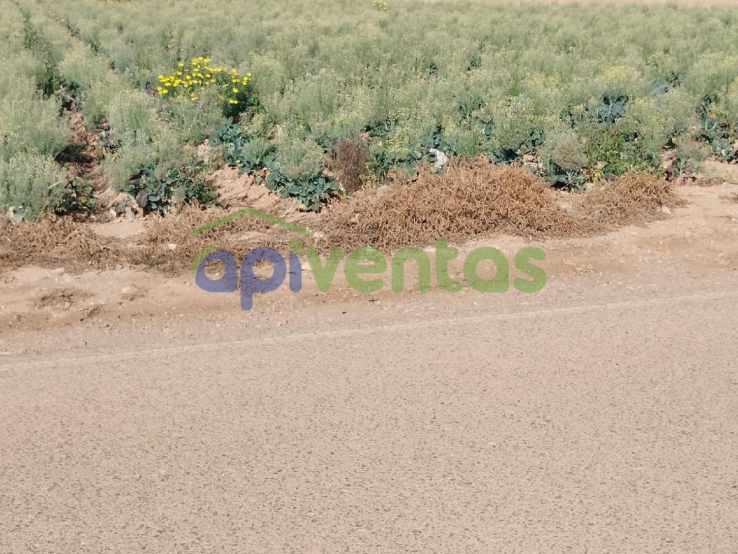  till salu tomt Lorca Alto Guadalentín 5