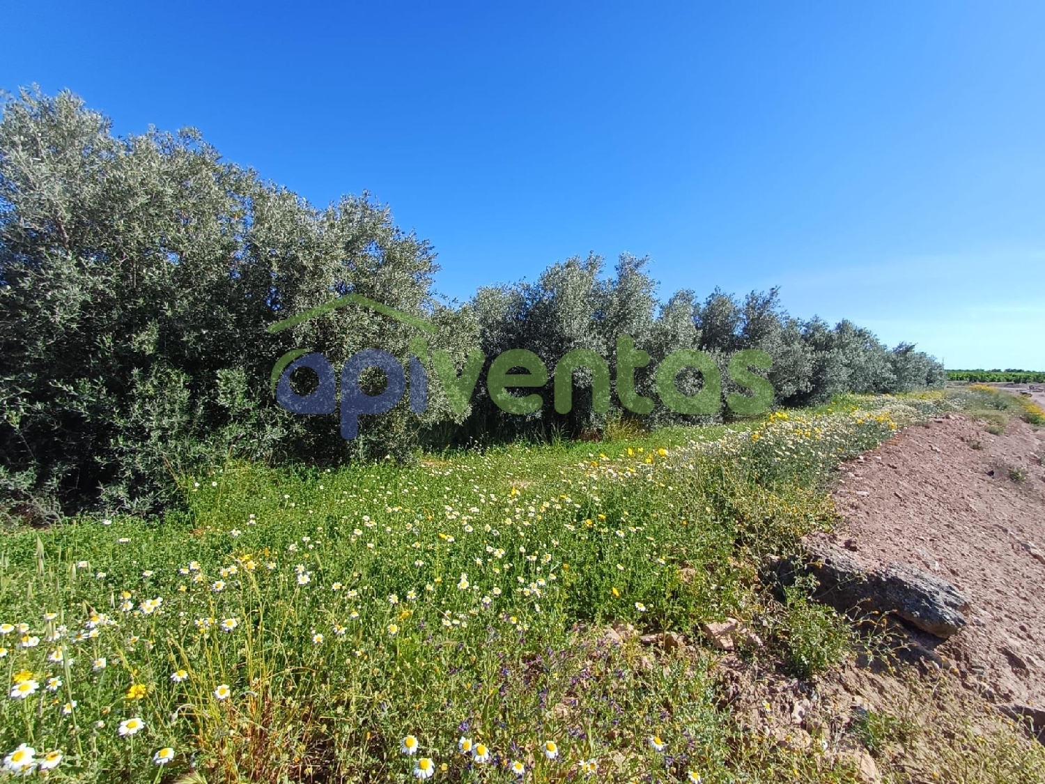  till salu tomt Lorca Alto Guadalentín 1