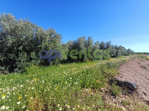 Lorca Alto Guadalentín tomt foto 6374949