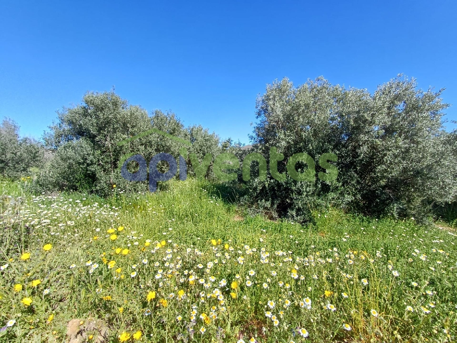  till salu tomt Lorca Alto Guadalentín 8