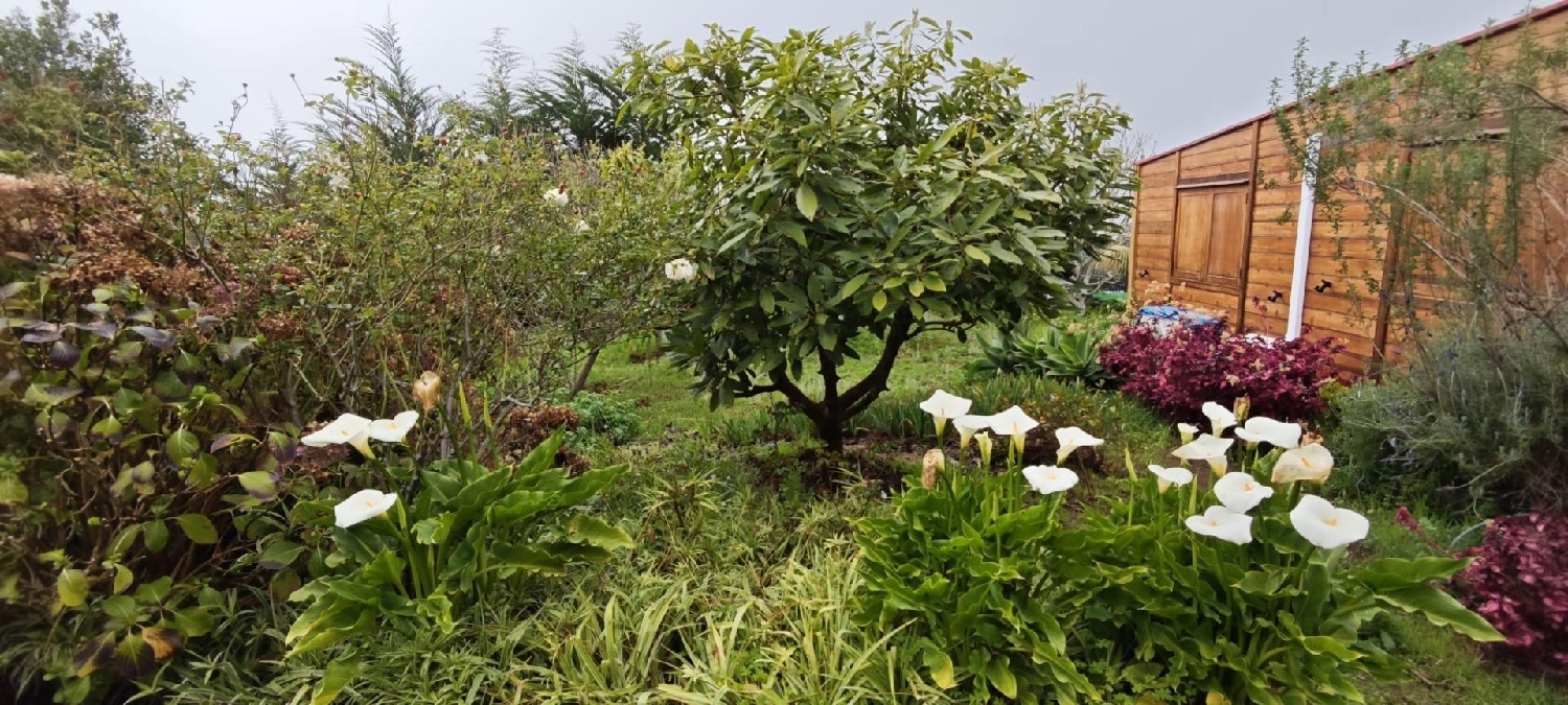  for sale plot Los Realejos Zona Norte 2