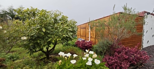 Los Realejos Zona Norte plot foto 6371165