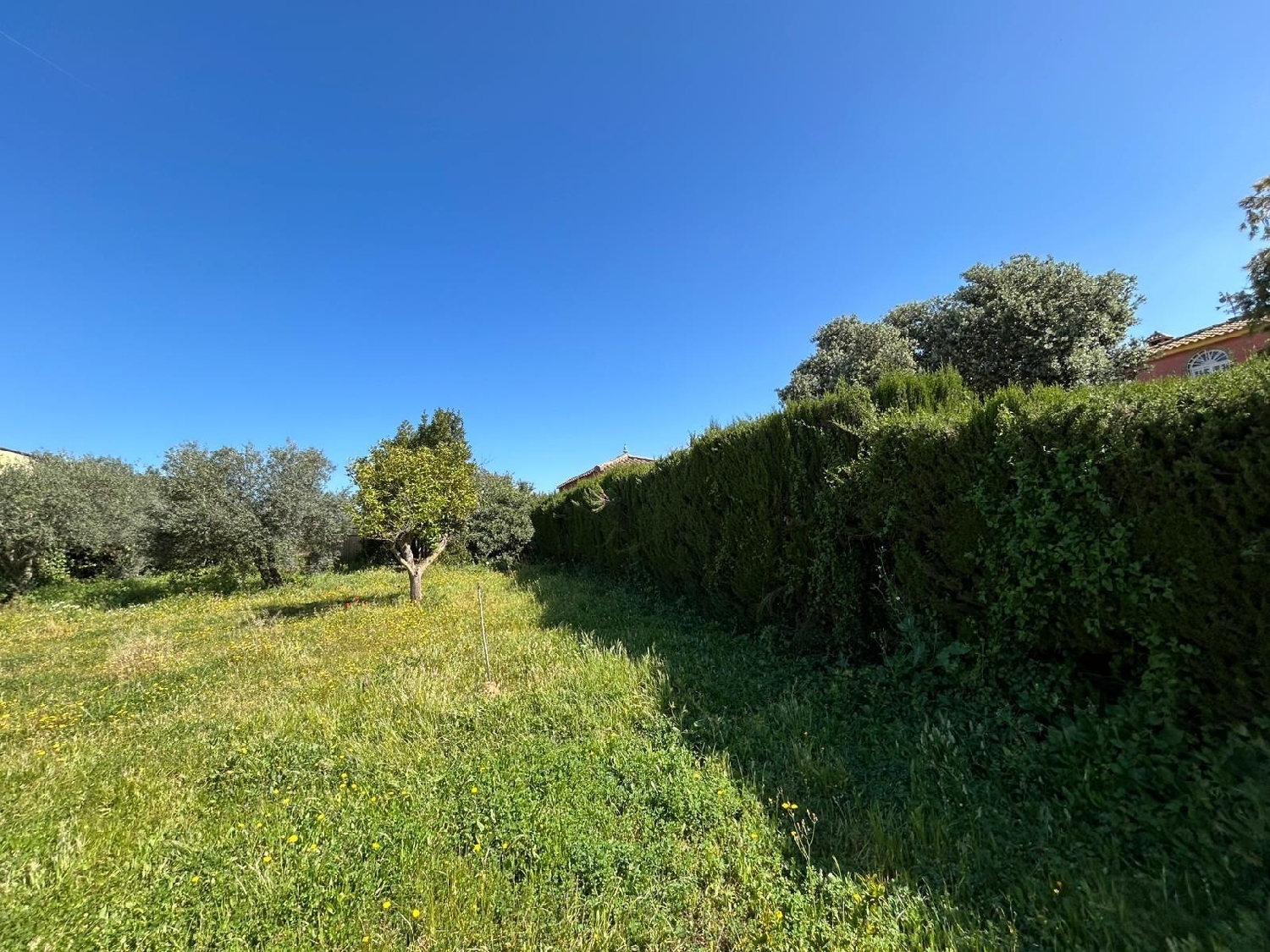 till salu tomt Mairena Del Alcor Campiña De Carmona 4