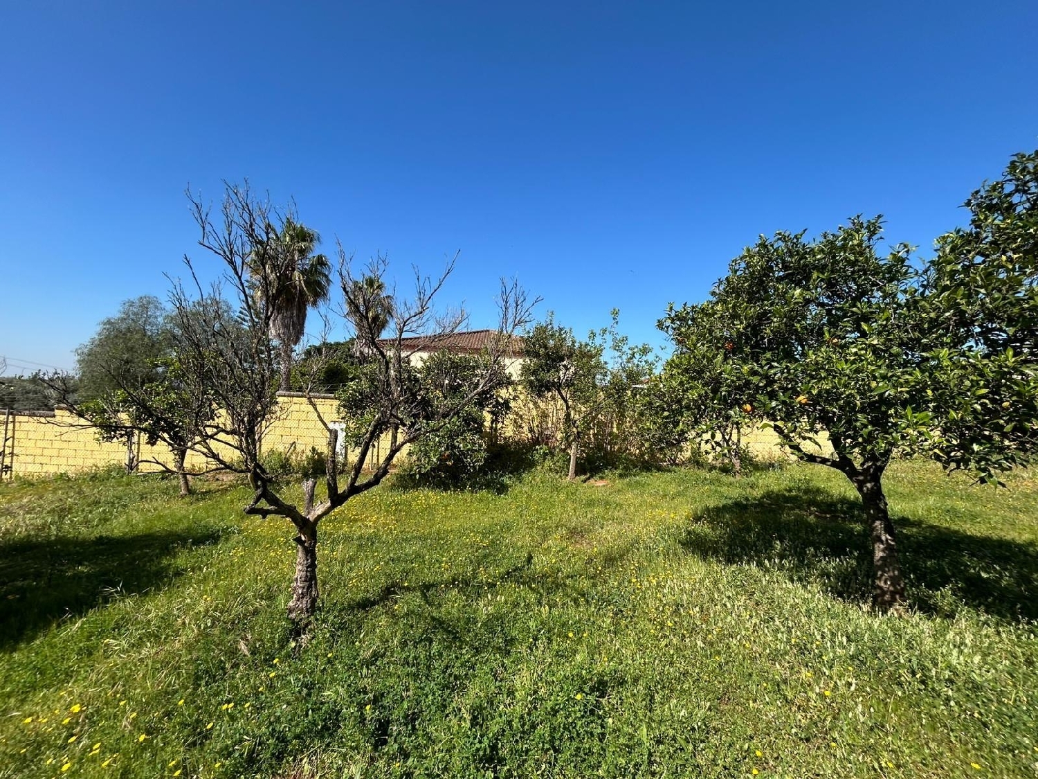 till salu tomt Mairena Del Alcor Campiña De Carmona 3