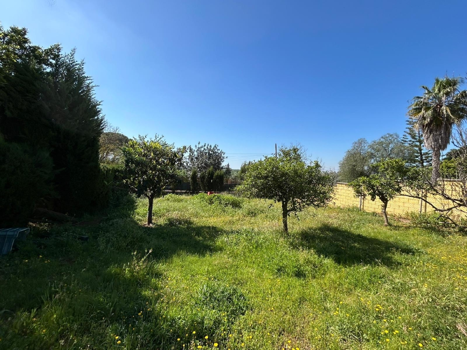 till salu tomt Mairena Del Alcor Campiña De Carmona 2