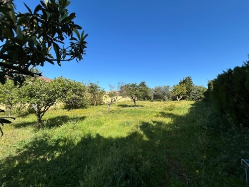 Mairena Del Alcor Campiña De Carmona tomt foto 6368081