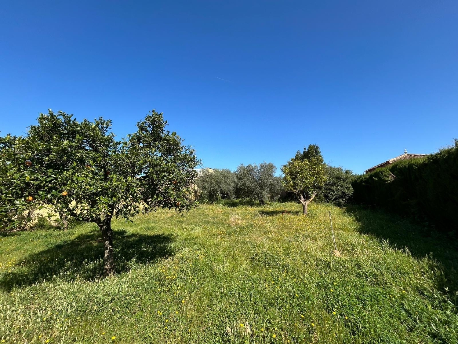 till salu tomt Mairena Del Alcor Campiña De Carmona 5