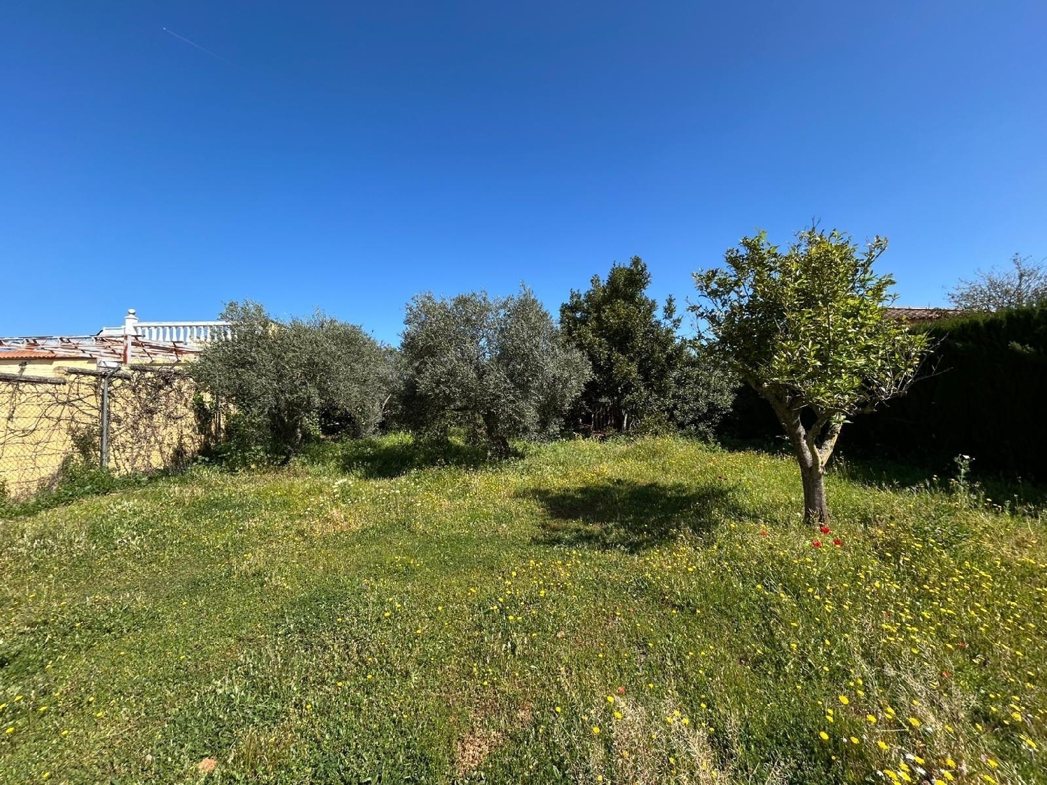 till salu tomt Mairena Del Alcor Campiña De Carmona 6