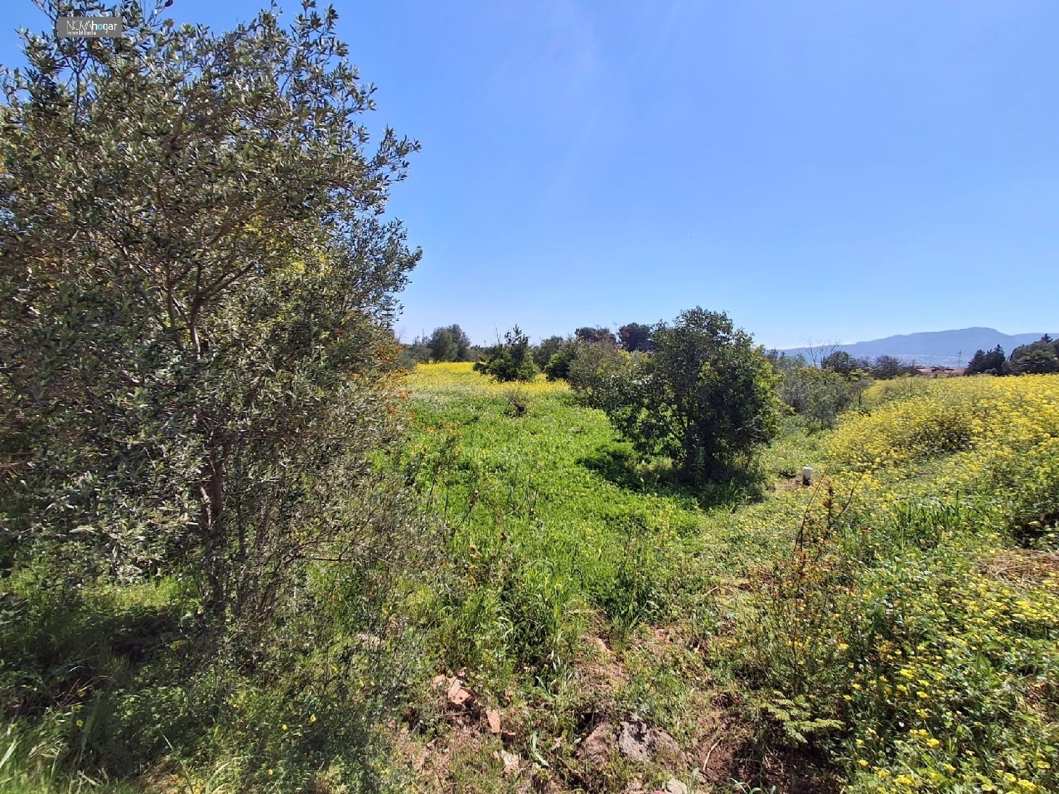  en venta terreno Málaga Del Fresno Campiña 5