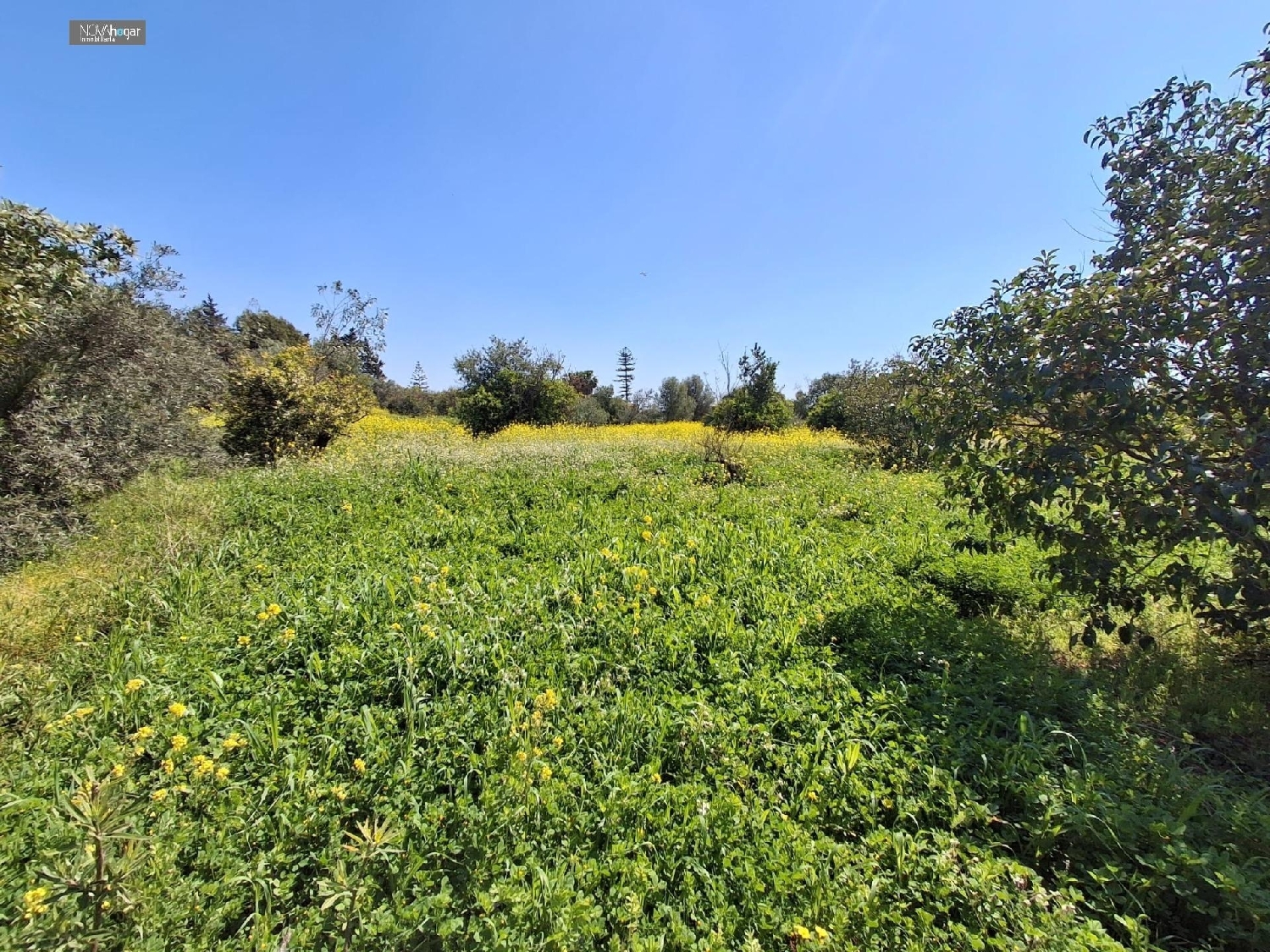  en venta terreno Málaga Del Fresno Campiña 7