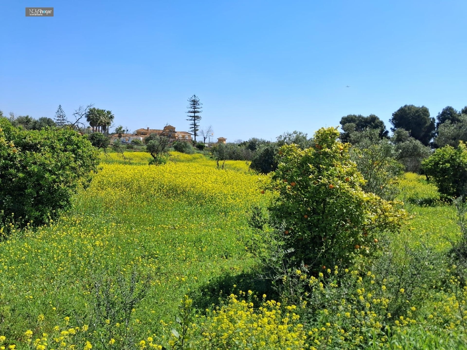  en venta terreno Málaga Del Fresno Campiña 6