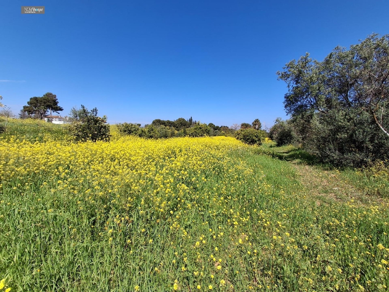  en venta terreno Málaga Del Fresno Campiña 8