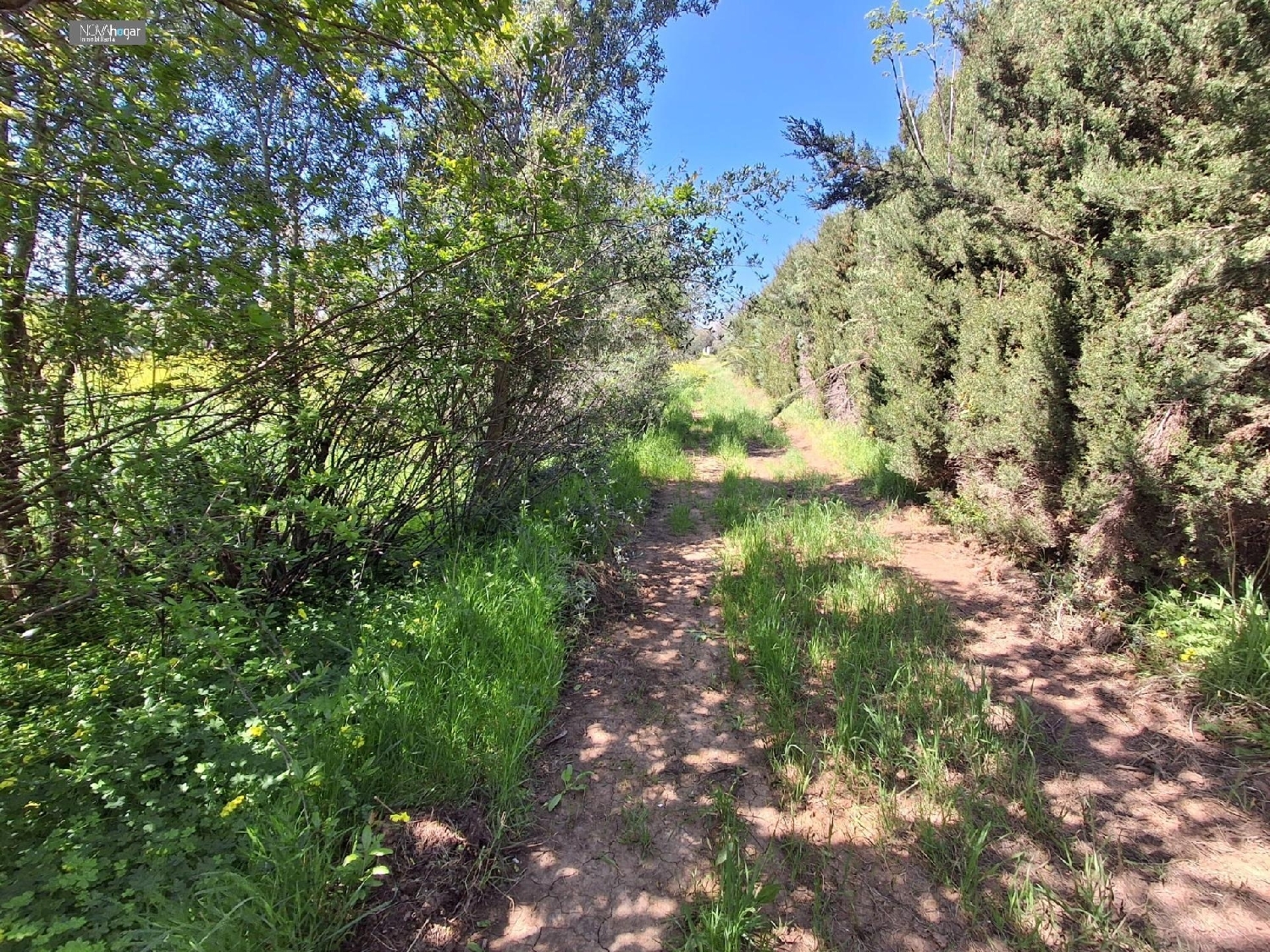  en venta terreno Málaga Del Fresno Campiña 3