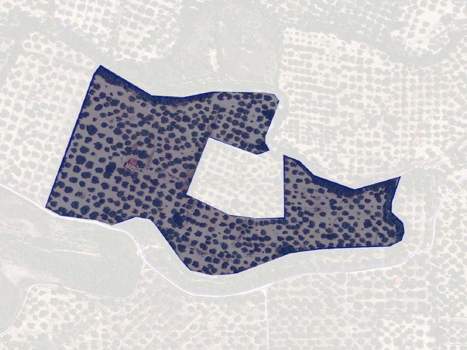  till salu tomt Mas De Barberans Montsià 6