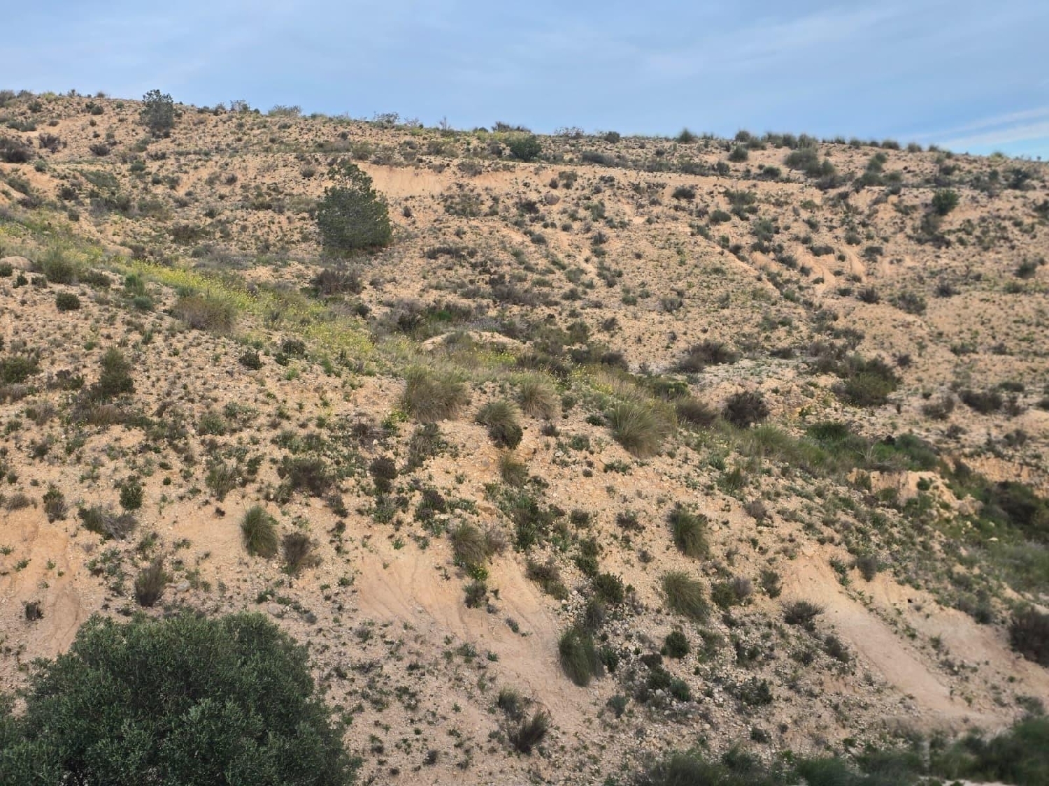  en venta terreno Molina De Segura Vega Media Del Segura 1