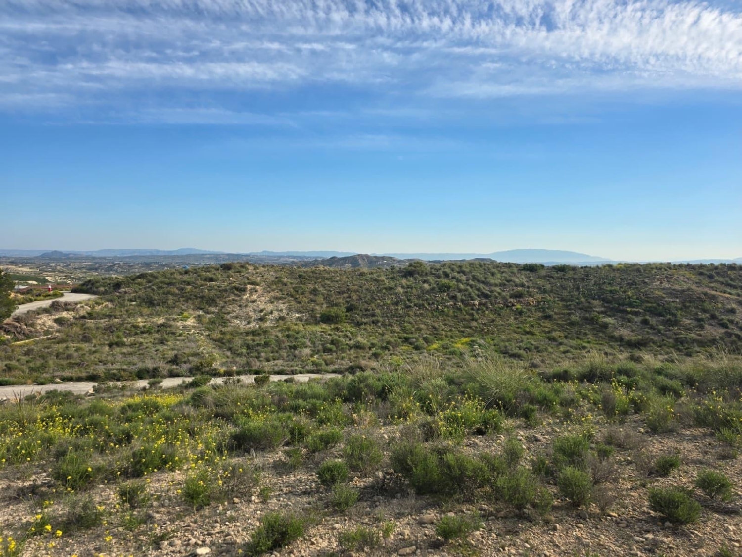  en venta terreno Molina De Segura Vega Media Del Segura 7