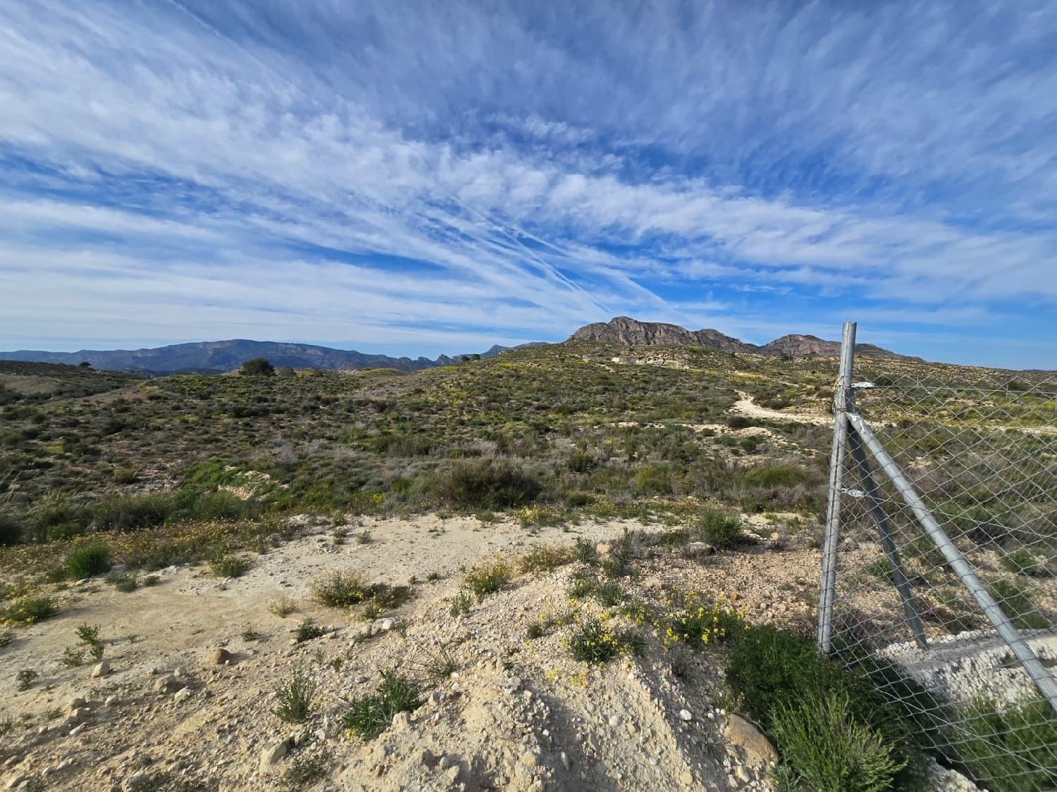  en venta terreno Molina De Segura Vega Media Del Segura 3