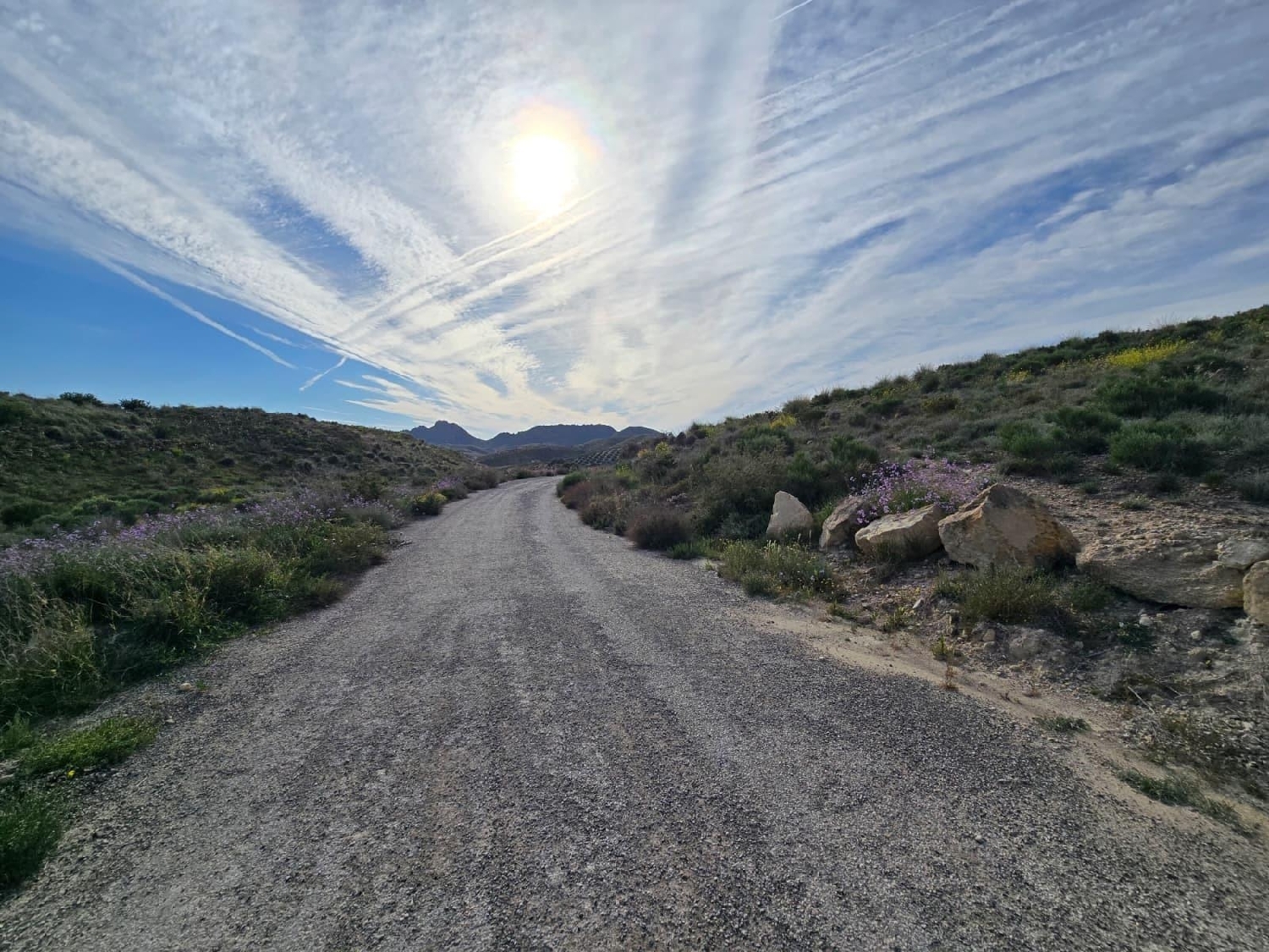  en venta terreno Molina De Segura Vega Media Del Segura 4