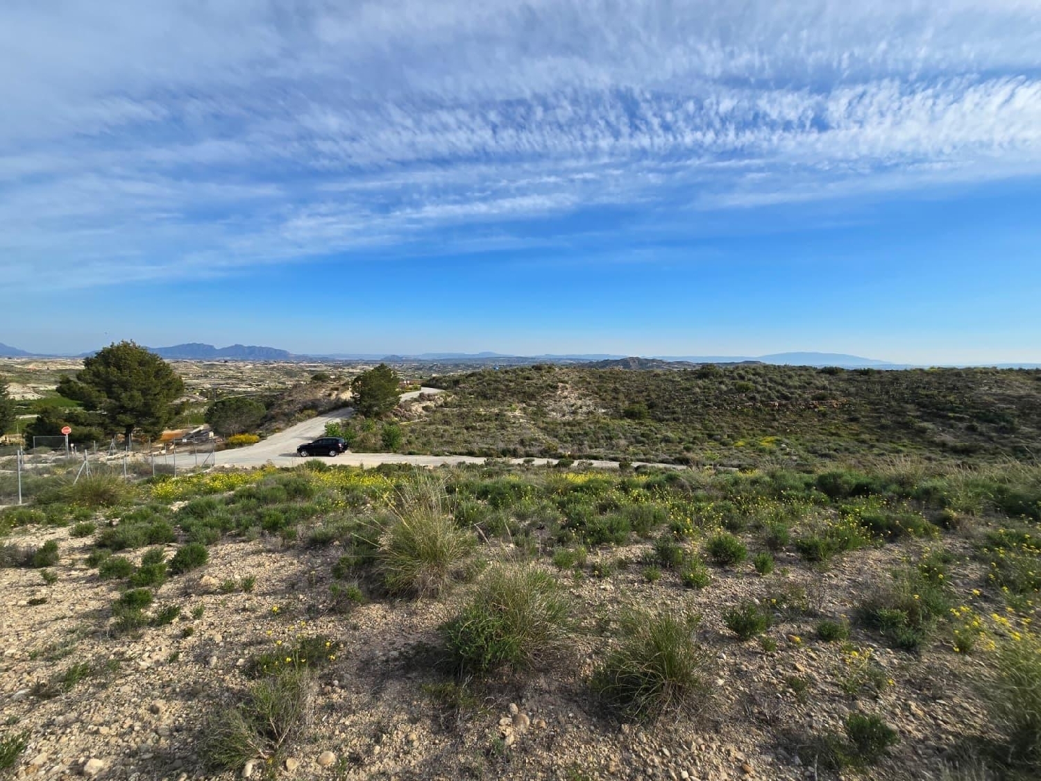  en venta terreno Molina De Segura Vega Media Del Segura 6