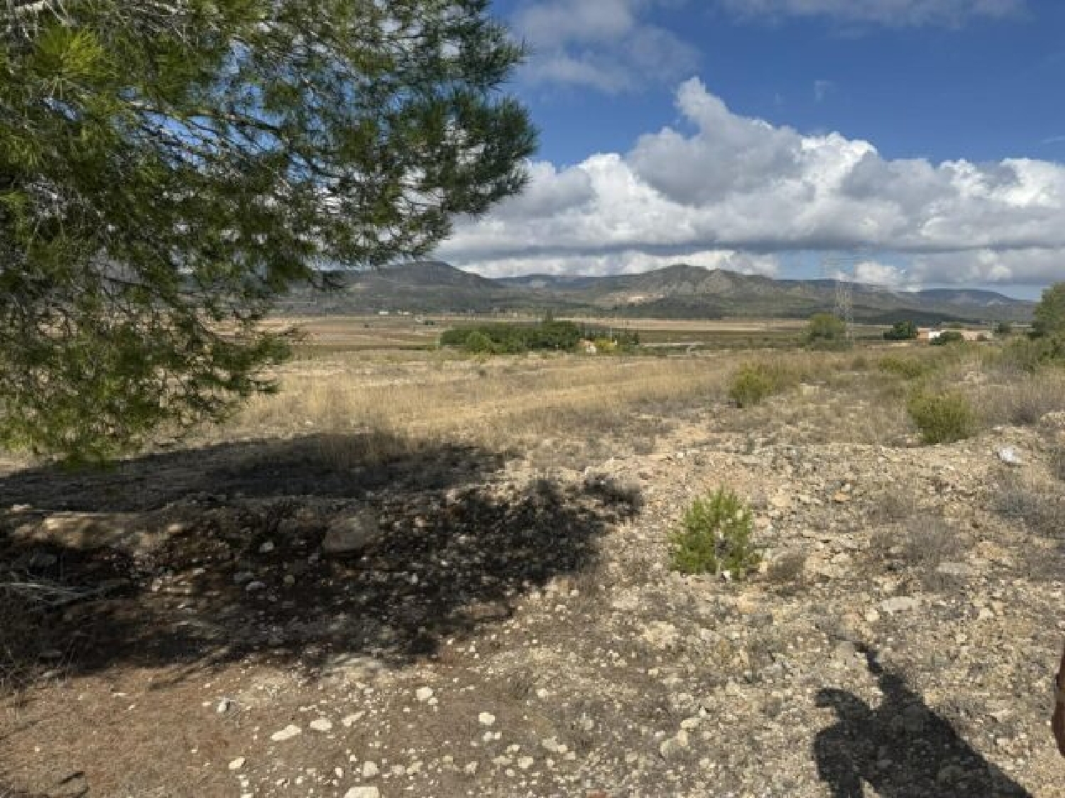  en venta terreno Monóvar Vinalopó Mitjà 11