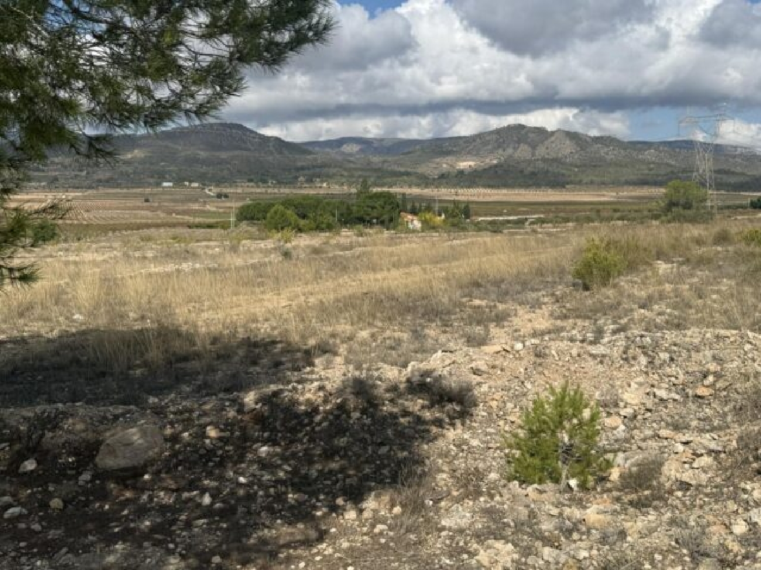  en venta terreno Monóvar Vinalopó Mitjà 9