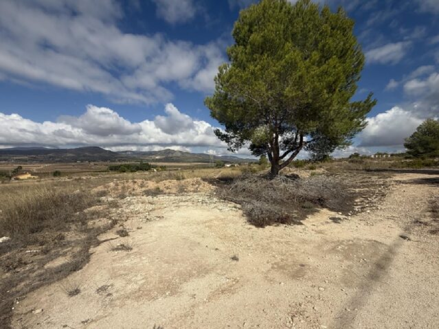  en venta terreno Monóvar Vinalopó Mitjà 8