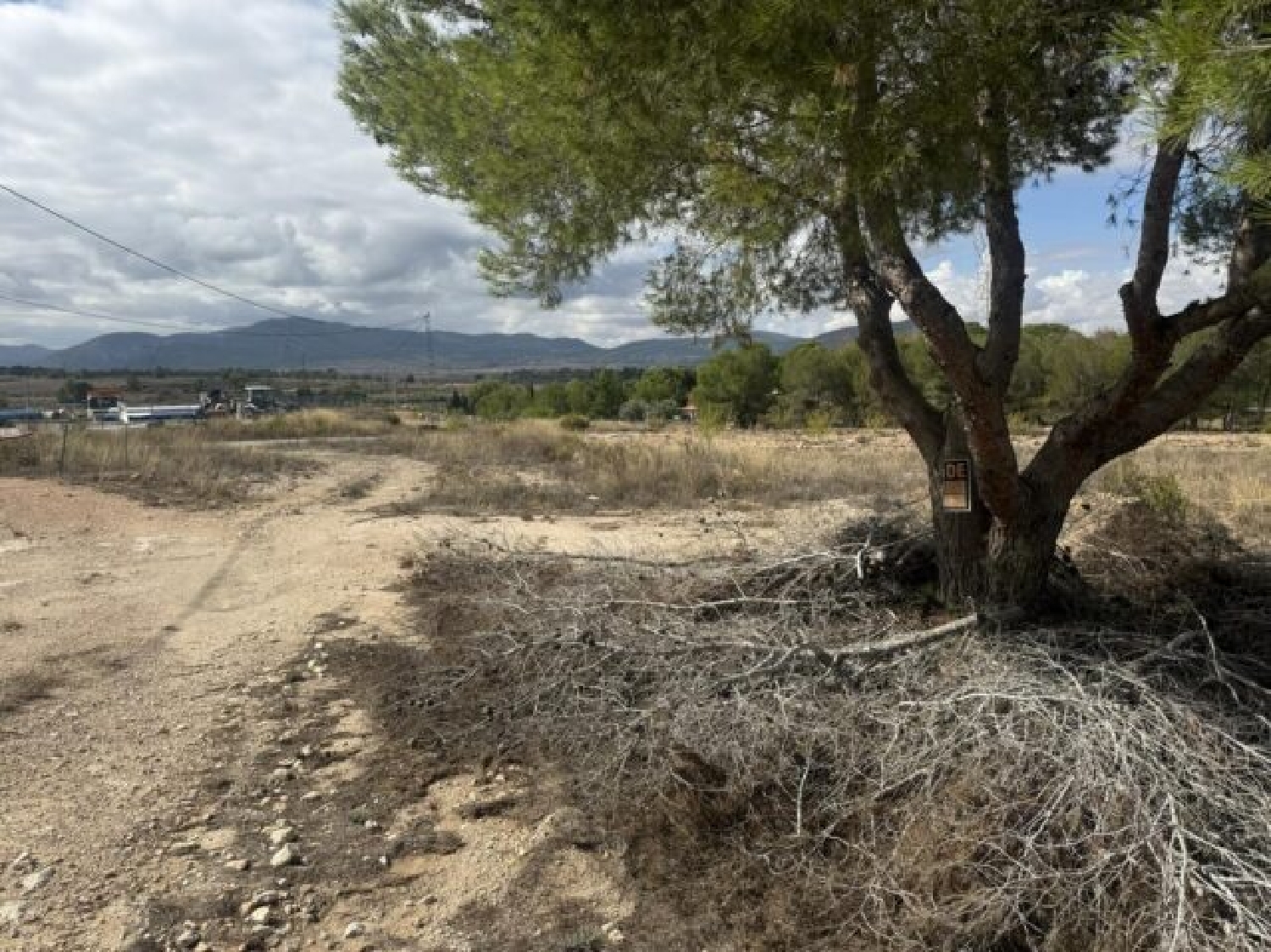  en venta terreno Monóvar Vinalopó Mitjà 3