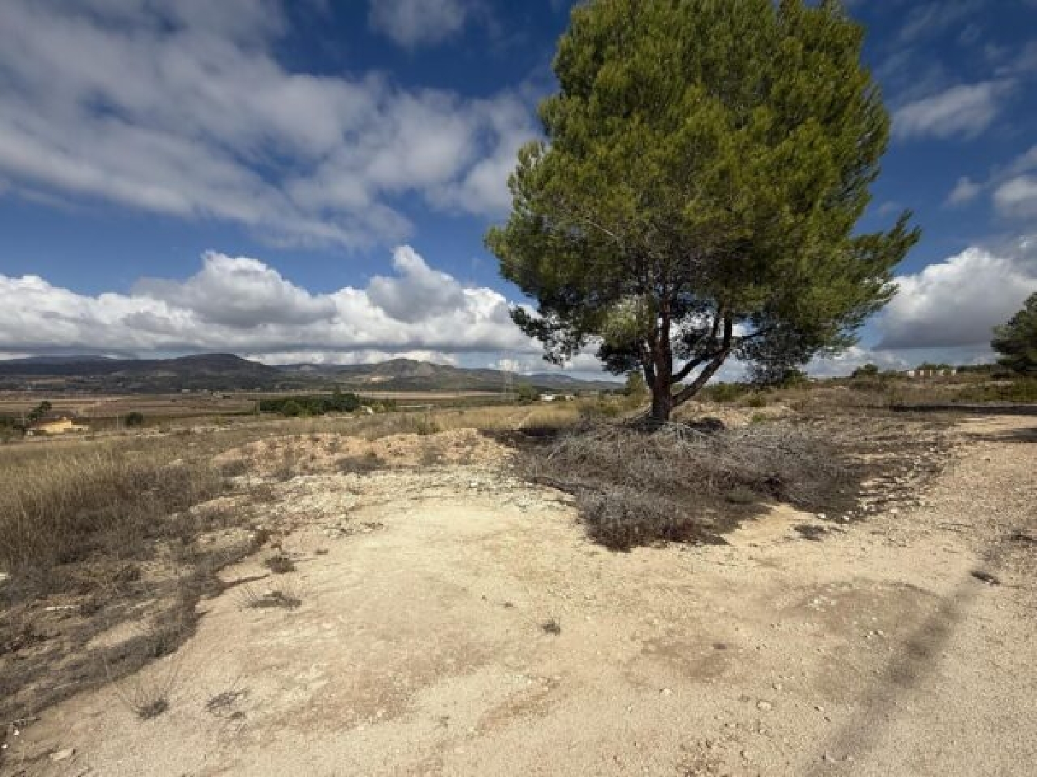  en venta terreno Monóvar Vinalopó Mitjà 1
