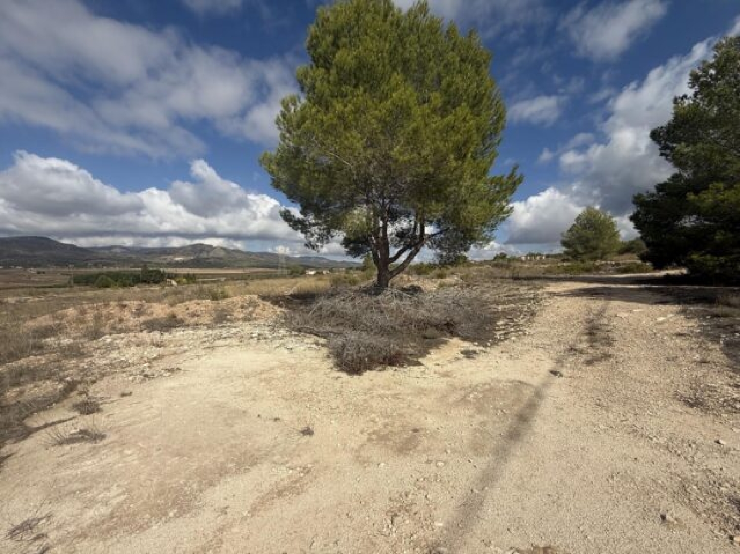  en venta terreno Monóvar Vinalopó Mitjà 7