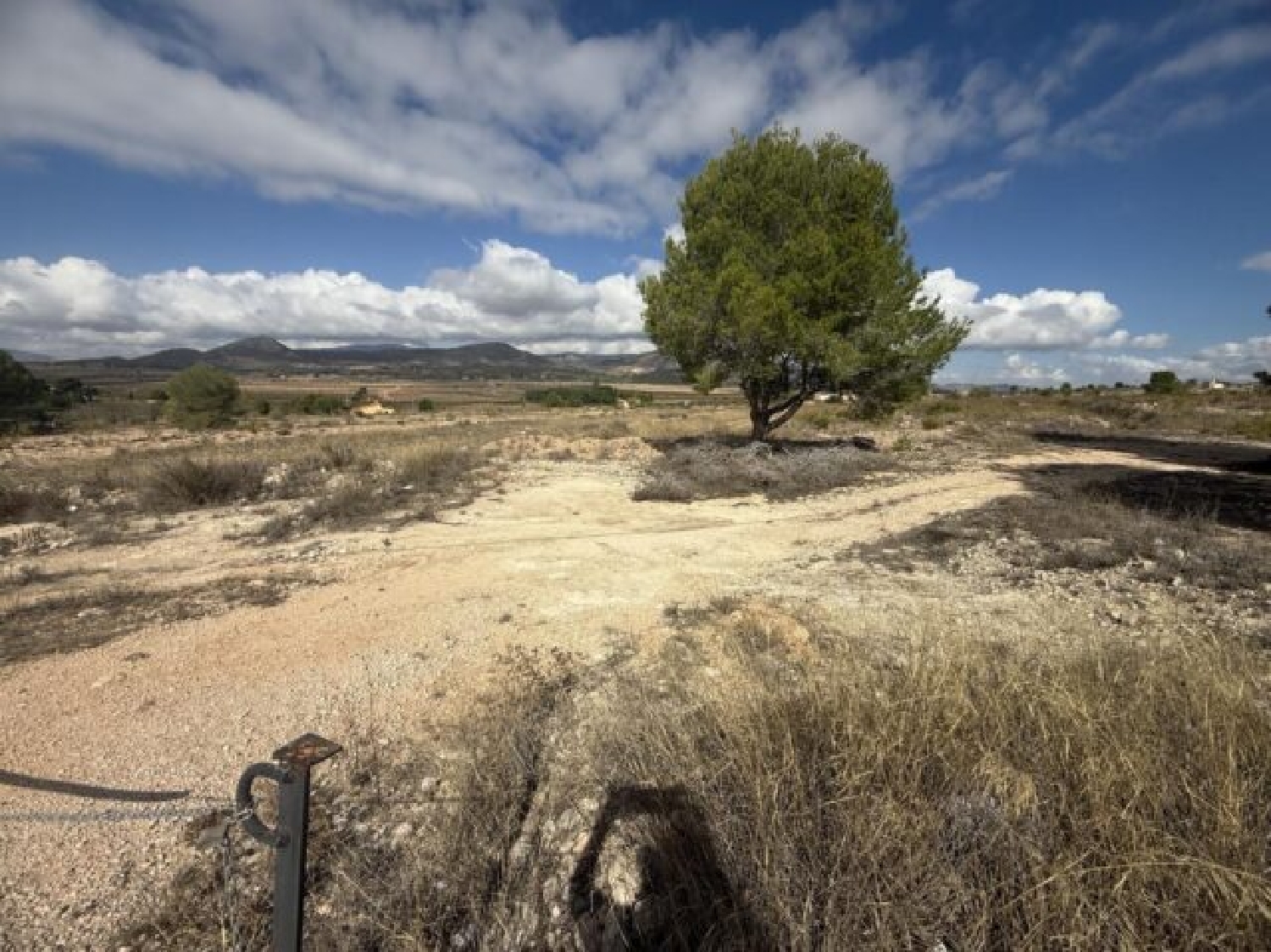  en venta terreno Monóvar Vinalopó Mitjà 6