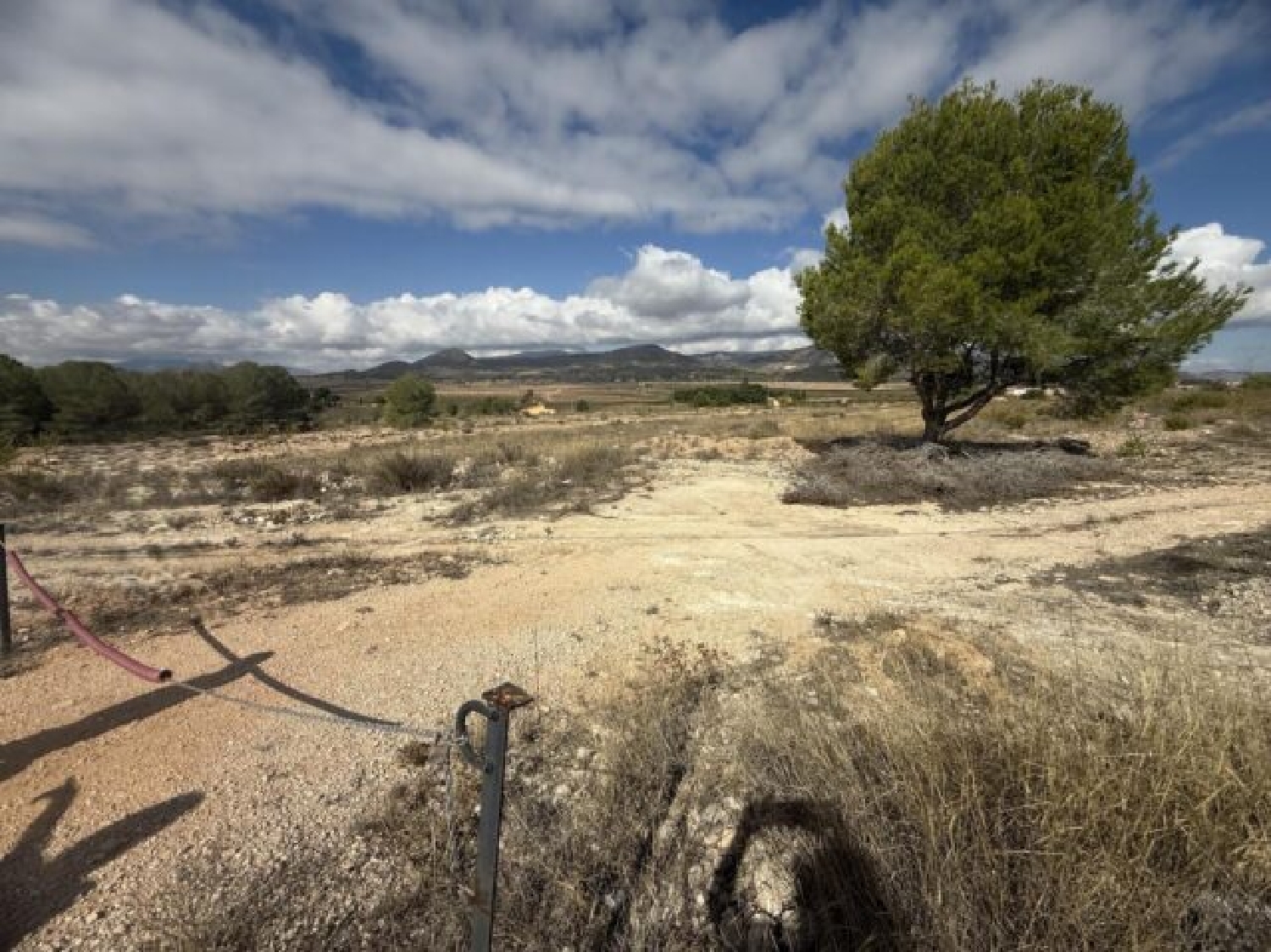  en venta terreno Monóvar Vinalopó Mitjà 5