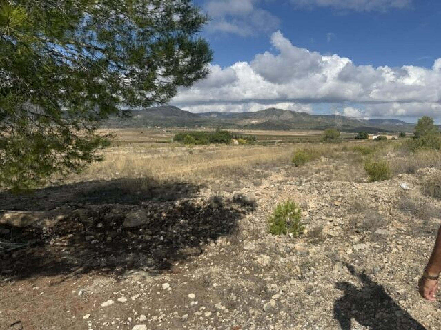  en venta terreno Monóvar Vinalopó Mitjà 10