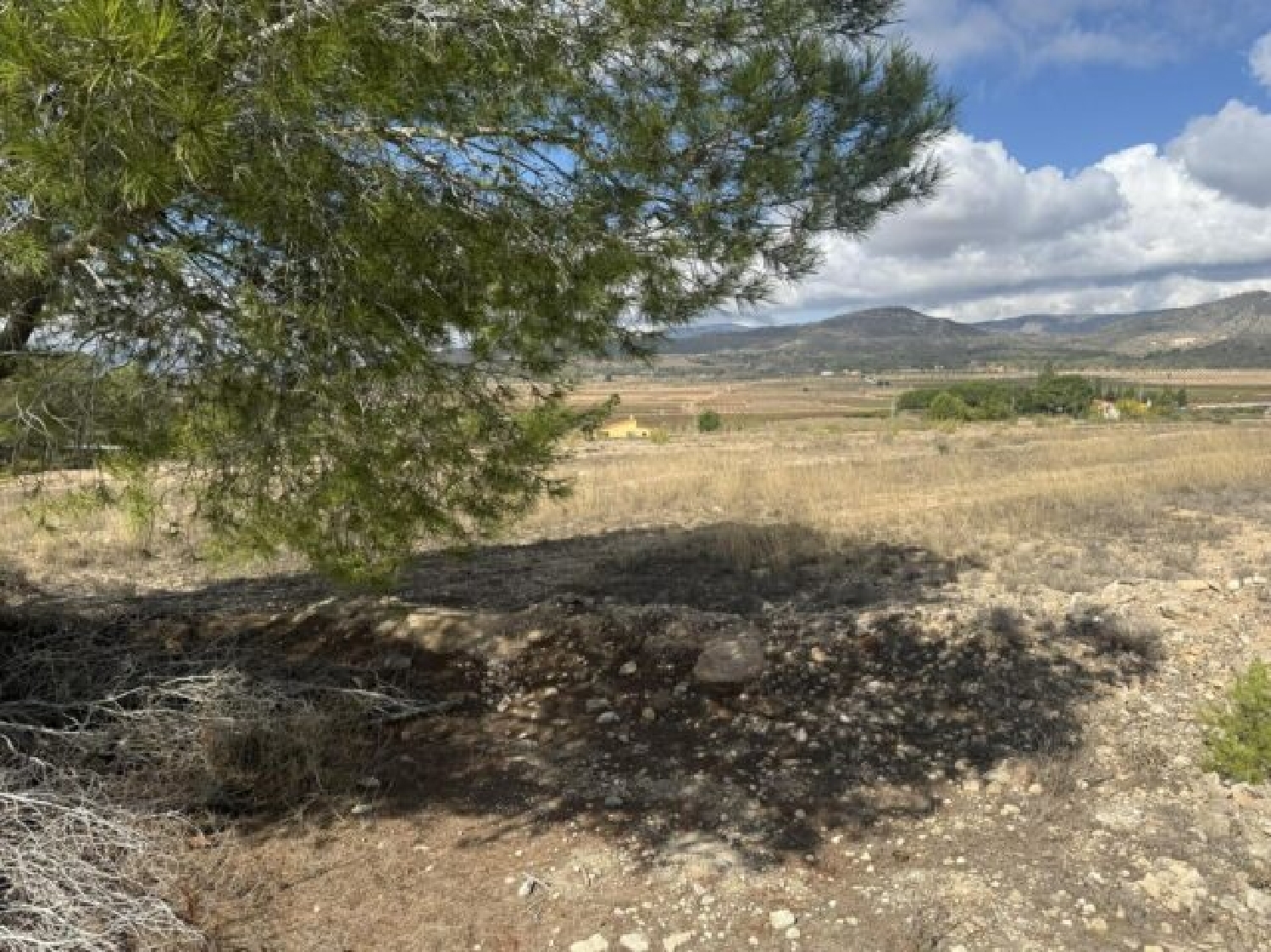  en venta terreno Monóvar Vinalopó Mitjà 4