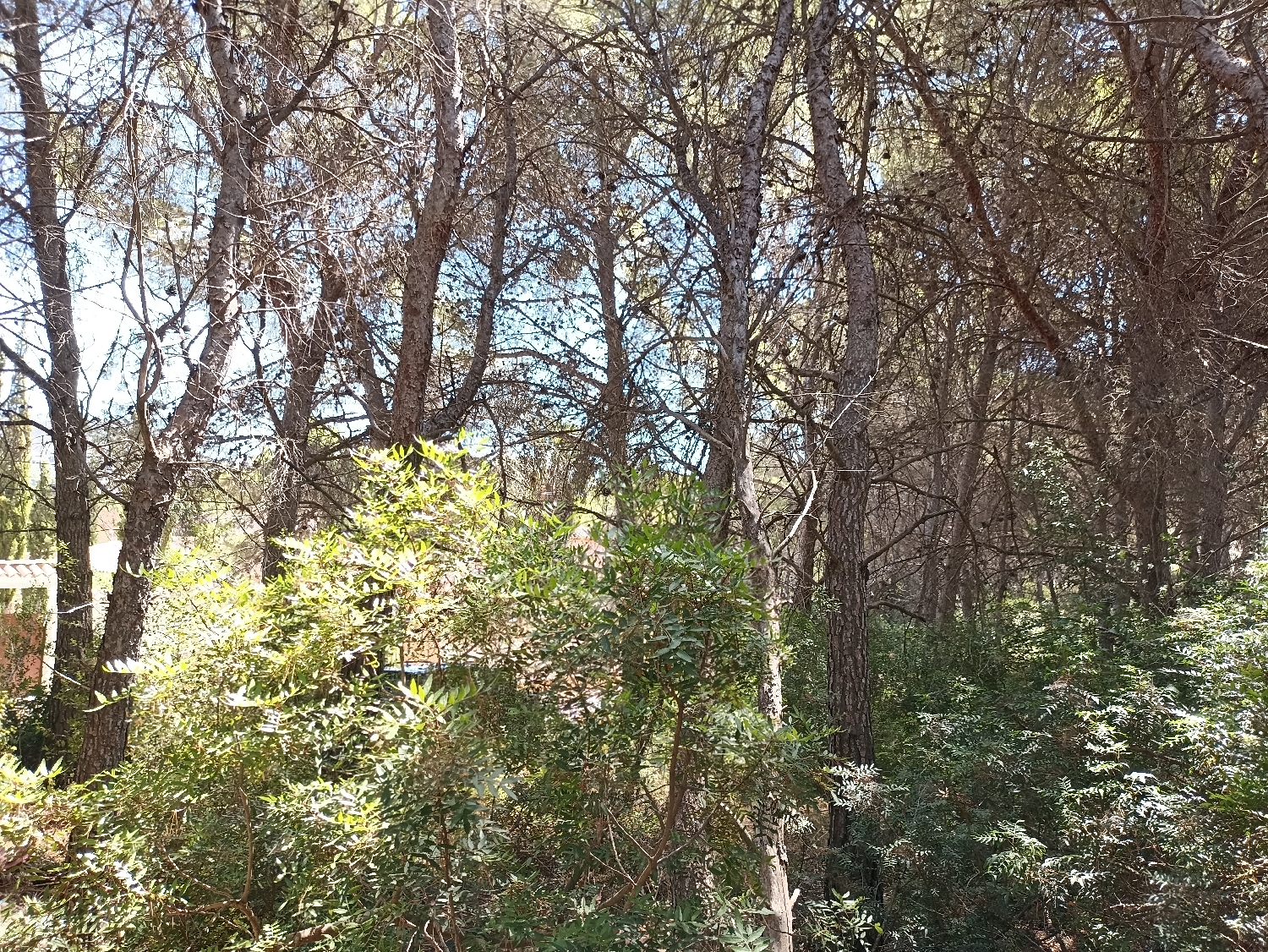  te koop perceel Moraira Marina Alta 4